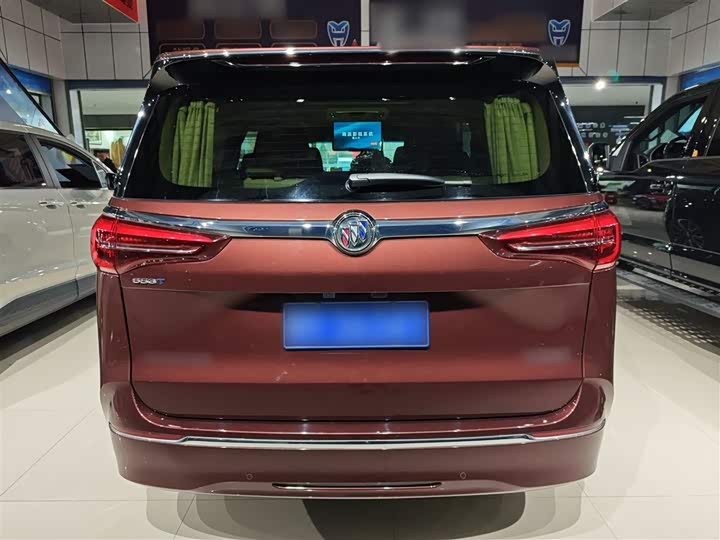 Фото 6 - Buick GL8 ES