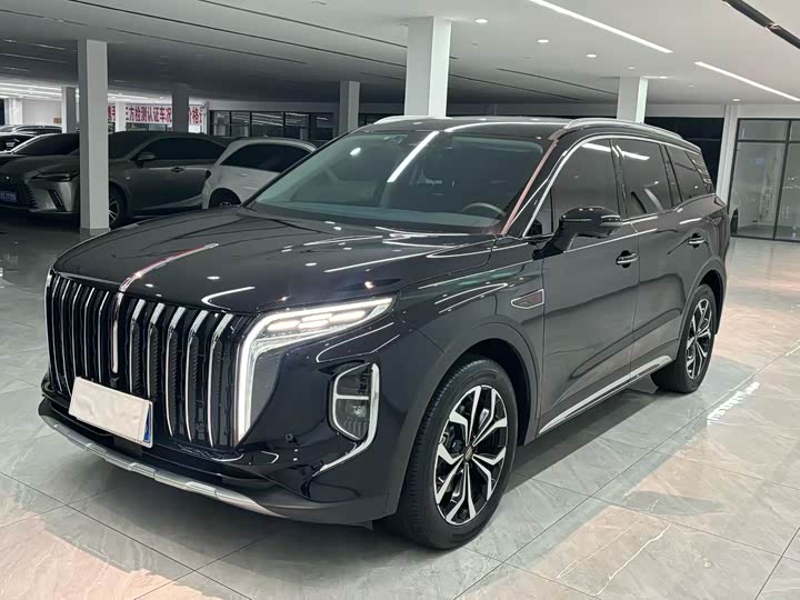 Фото 1 - Hongqi HS7