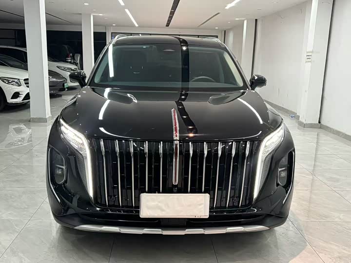 Фото 2 - Hongqi HS7