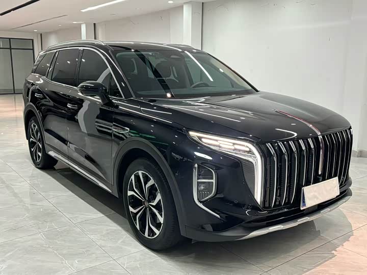 Фото 3 - Hongqi HS7