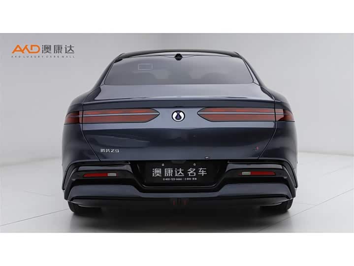 Фото 4 - Denza Z9