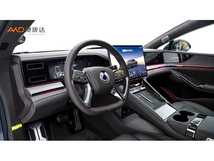 Фото 6 - Denza Z9