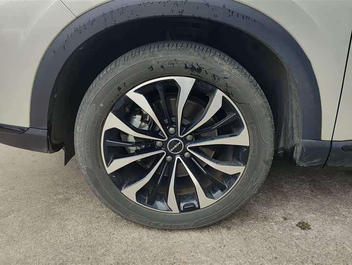 Фото 6 - Roewe RX5 Max