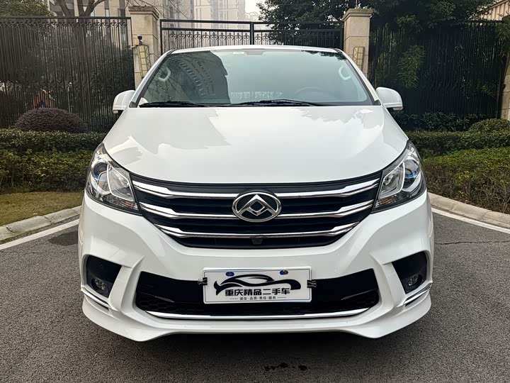 Фото 2 - Maxus G10