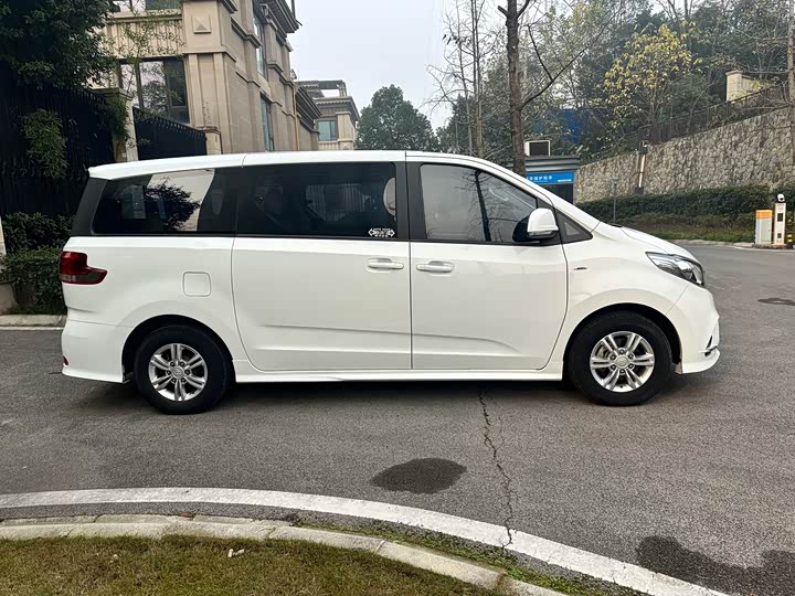 Фото 4 - Maxus G10