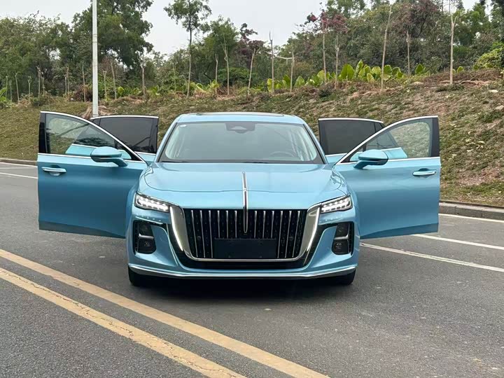 Фото 1 - Hongqi H5