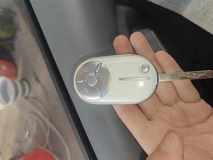 Фото 9 - Bestune Pony