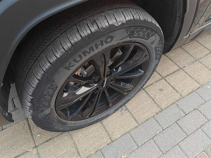 Фото 6 - Haval Raptor Hybrid