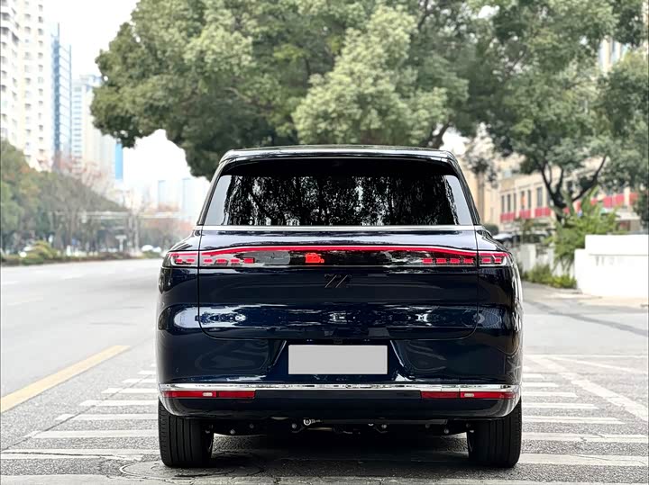 Фото 5 - IM motors LS9