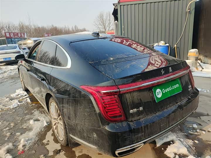 Фото 5 - Hongqi H9