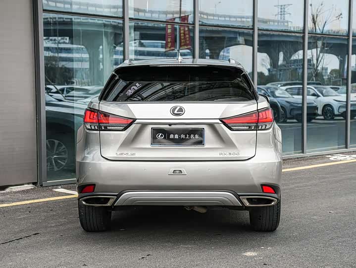 Фото 5 - Lexus RX