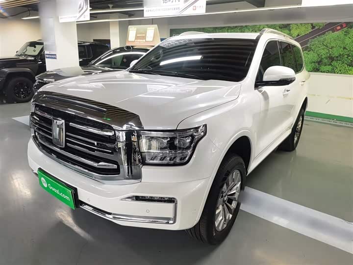 Фото 2 - Tank 500 Hybrid