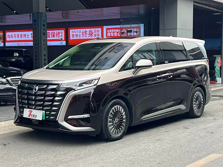 Фото 1 - Denza D9