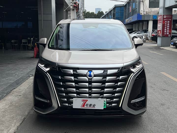 Фото 2 - Denza D9