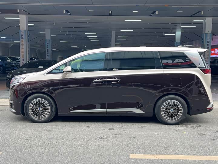 Фото 3 - Denza D9