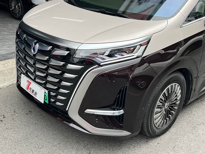 Фото 4 - Denza D9