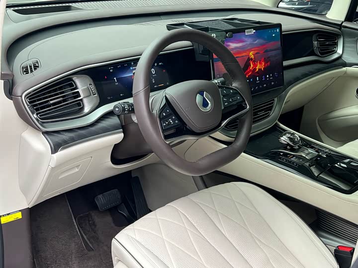 Фото 5 - Denza D9