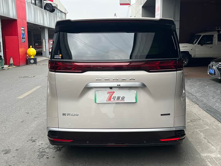 Фото 6 - Denza D9