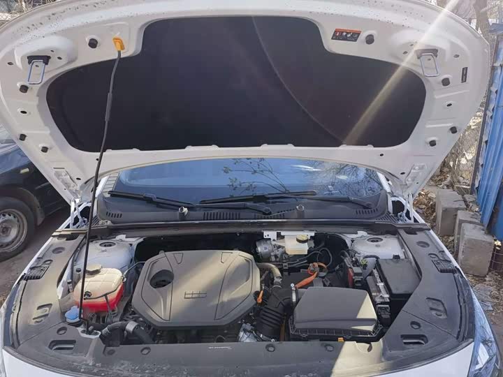 Фото 9 - Geely Galaxy L6