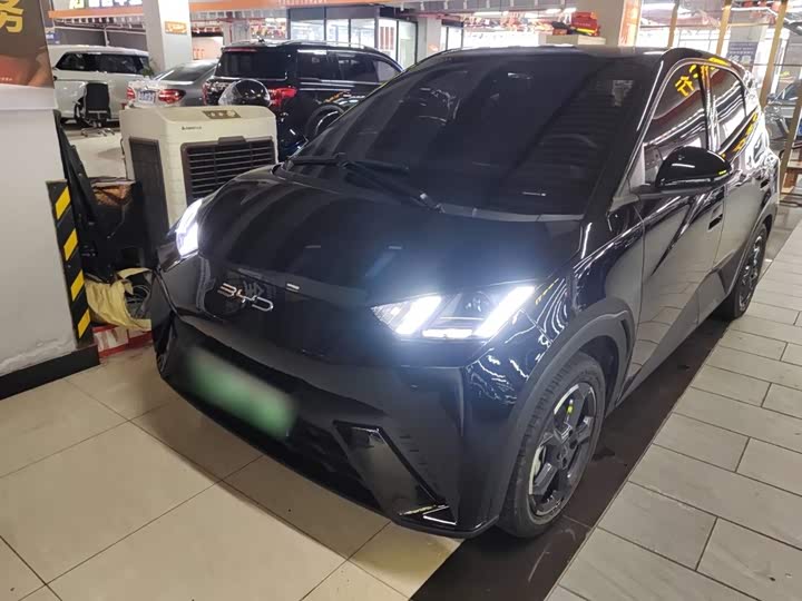 Фото 1 - BYD Seagull