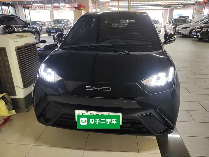 Фото 3 - BYD Seagull