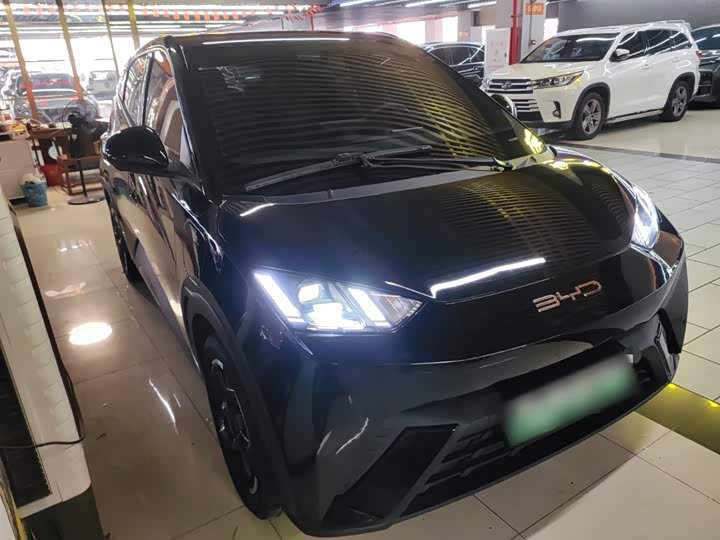 Фото 4 - BYD Seagull