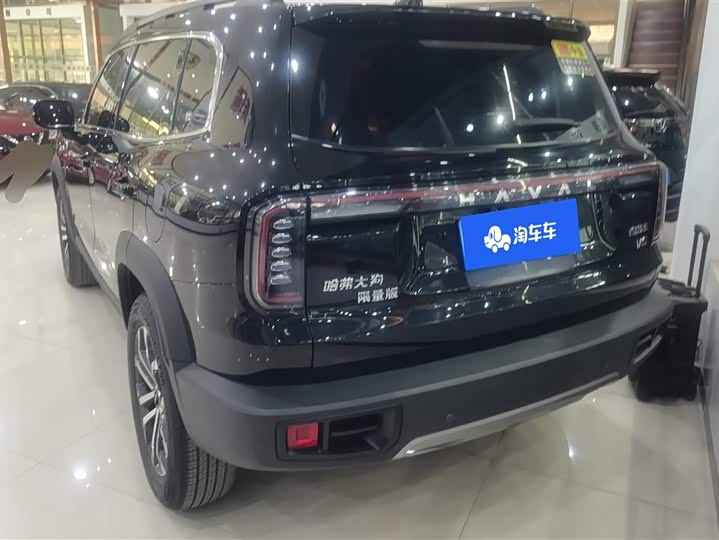 Фото 3 - Haval Dargo