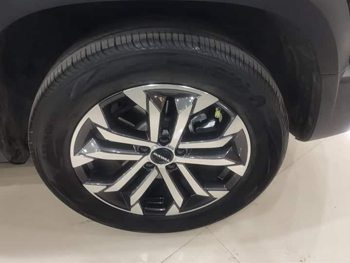 Фото 6 - Haval Dargo