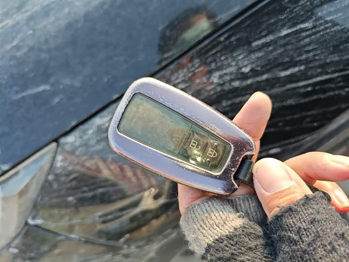 Фото 9 - Toyota Wildlander