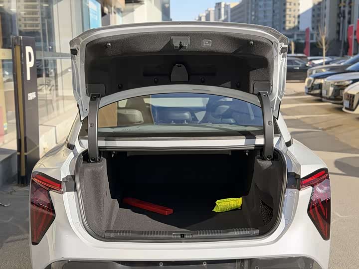 Фото 7 - Hongqi EH7