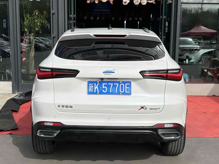 Фото 8 - Changan Oshan X5
