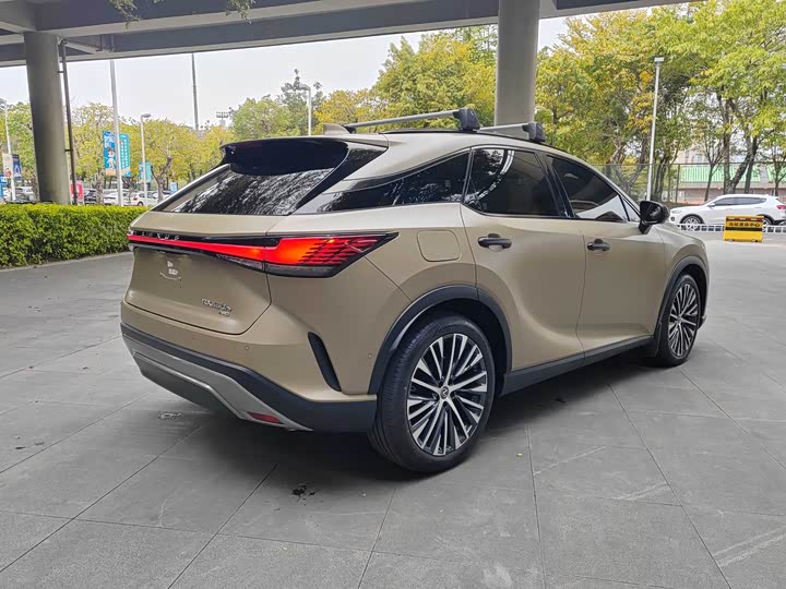 Фото 7 - Lexus RX Hybrid