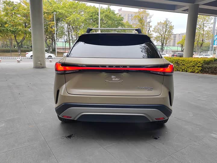 Фото 8 - Lexus RX Hybrid