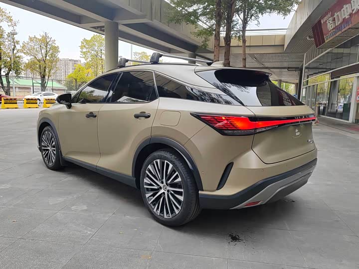 Фото 9 - Lexus RX Hybrid