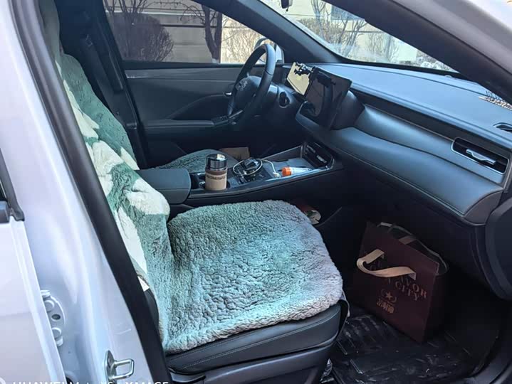 Фото 8 - BYD Qin Plus