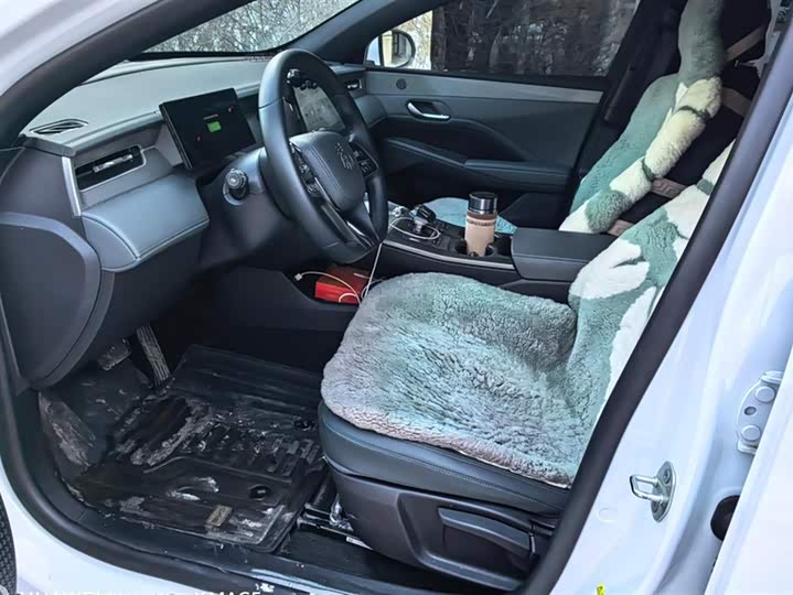 Фото 9 - BYD Qin Plus