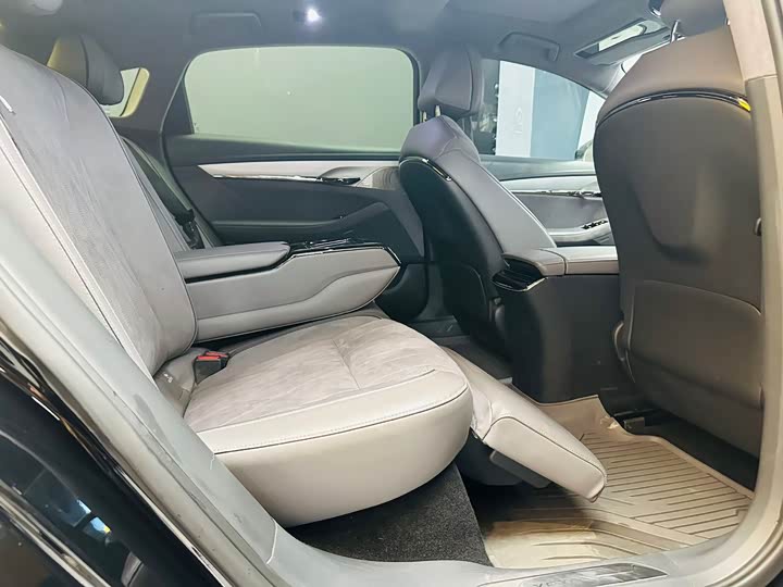 Фото 6 - Voyah Passion