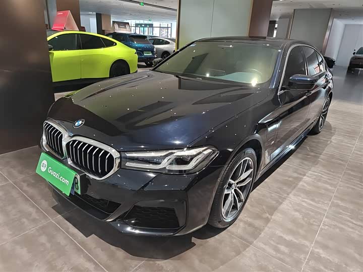 Фото 1 - BMW 5 Series Hybrid