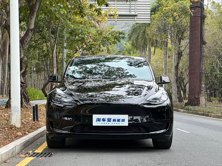 Фото 4 - Tesla Model Y