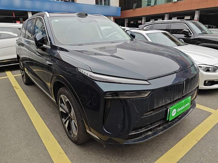 Фото 4 - Wey Lanshan