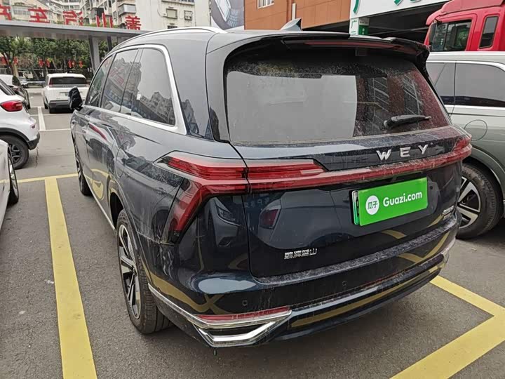 Фото 5 - Wey Lanshan