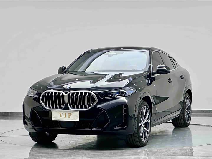 Фото 1 - BMW X6