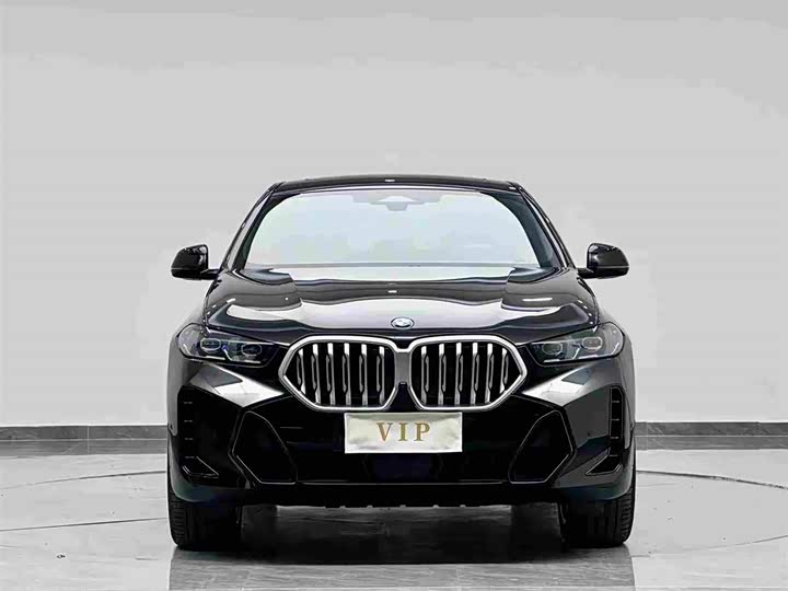 Фото 2 - BMW X6