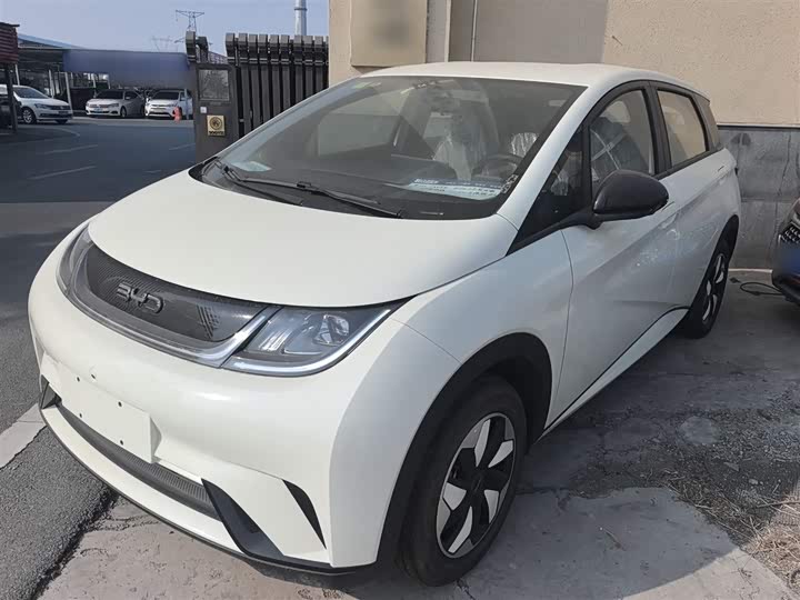 Фото 1 - BYD Dolphin