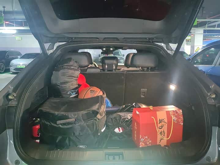 Фото 4 - Ford Mustang Mach-E