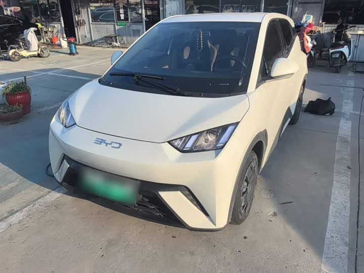 Фото 1 - BYD Seagull