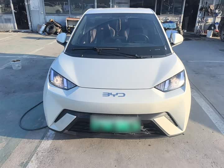 Фото 3 - BYD Seagull