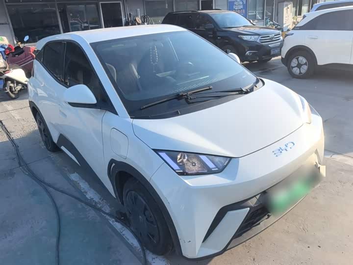 Фото 4 - BYD Seagull