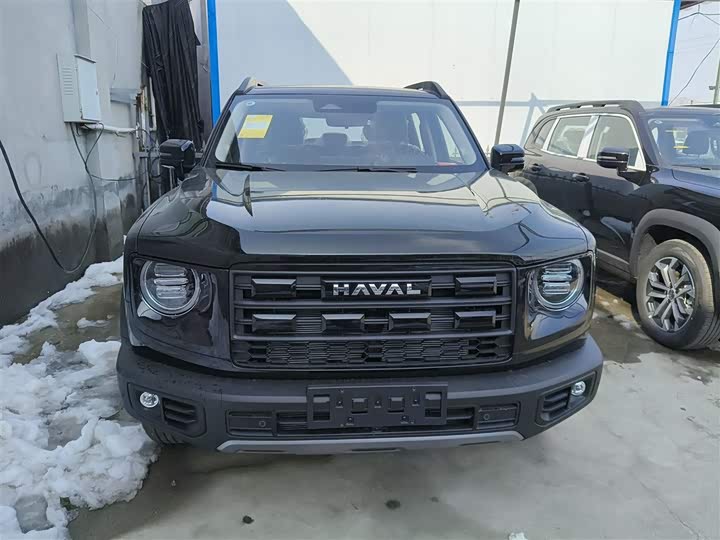 Фото 3 - Haval Dargo