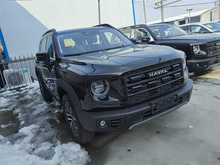 Фото 4 - Haval Dargo